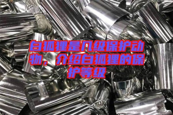 白狐貍是幾級保護動物，介紹白狐貍的保護等級