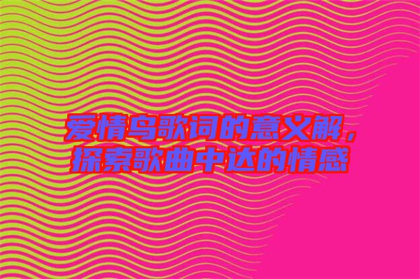 愛情鳥歌詞的意義解，探索歌曲中達的情感