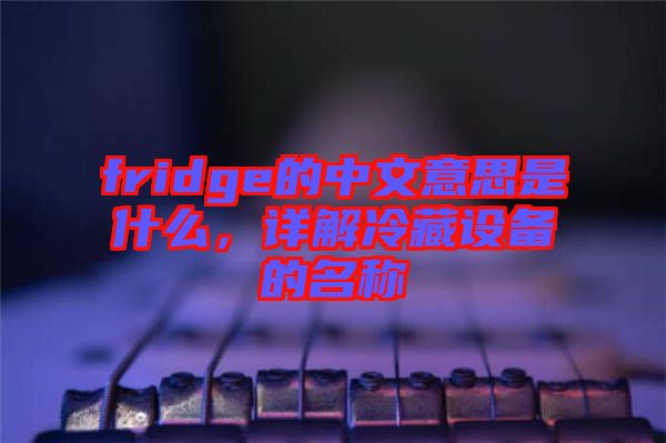 fridge的中文意思是什么，詳解冷藏設備的名稱