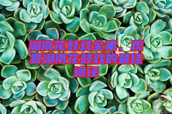 湖南花鼓戲全集，觀賞湖南花鼓戲的最佳途徑