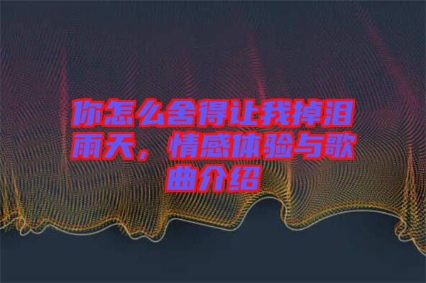 你怎么舍得讓我掉淚雨天，情感體驗與歌曲介紹