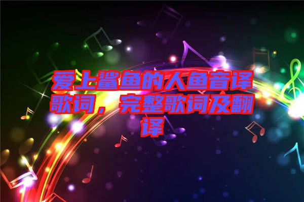 愛上鯊魚的人魚音譯歌詞，完整歌詞及翻譯