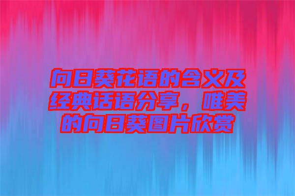 向日葵花語的含義及經典話語分享，唯美的向日葵圖片欣賞