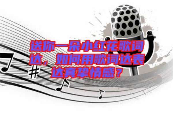 送你一朵小紅花歌詞達，如何用歌詞達表達真摯情感？