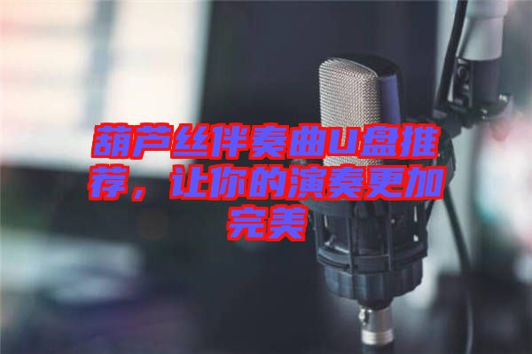葫蘆絲伴奏曲U盤推薦，讓你的演奏更加完美