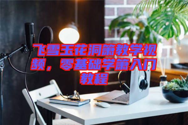 飛雪玉花洞簫教學視頻，零基礎學簫入門教程