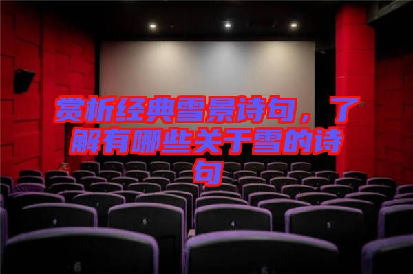 賞析經典雪景詩句，了解有哪些關于雪的詩句