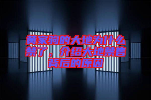 黃家駒的大地為什么禁了，介紹大地禁售背后的原因