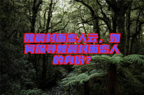 魏晨封面戀人云，如何探尋魏晨封面戀人的身份？