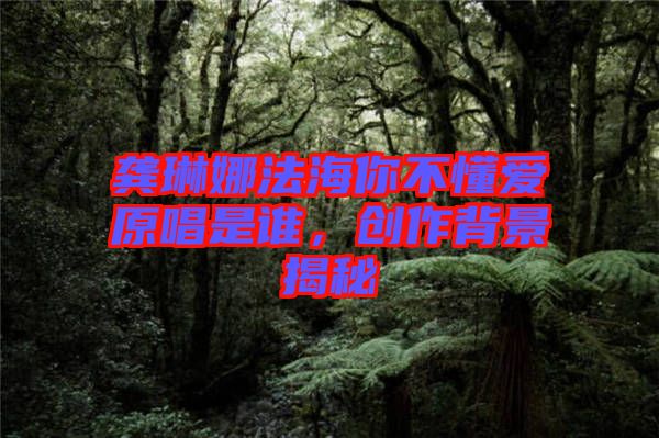 龔琳娜法海你不懂愛原唱是誰(shuí)，創(chuàng)作背景揭秘