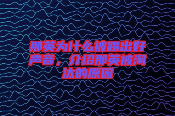 那英為什么被踢出好聲音，介紹那英被淘汰的原因